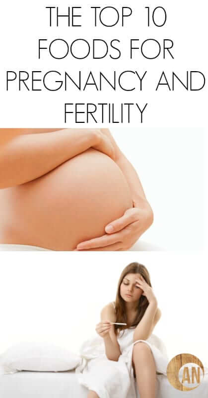 The-Top-10-Foods-For-Pregnancy-And-Fertility