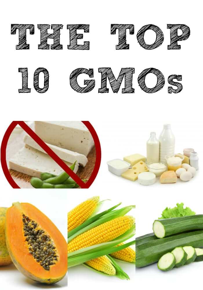 Genetically modified foods are dangerous and scare me to death! Make a note of the top 10 genetically modified foods and do your best to avoid them!