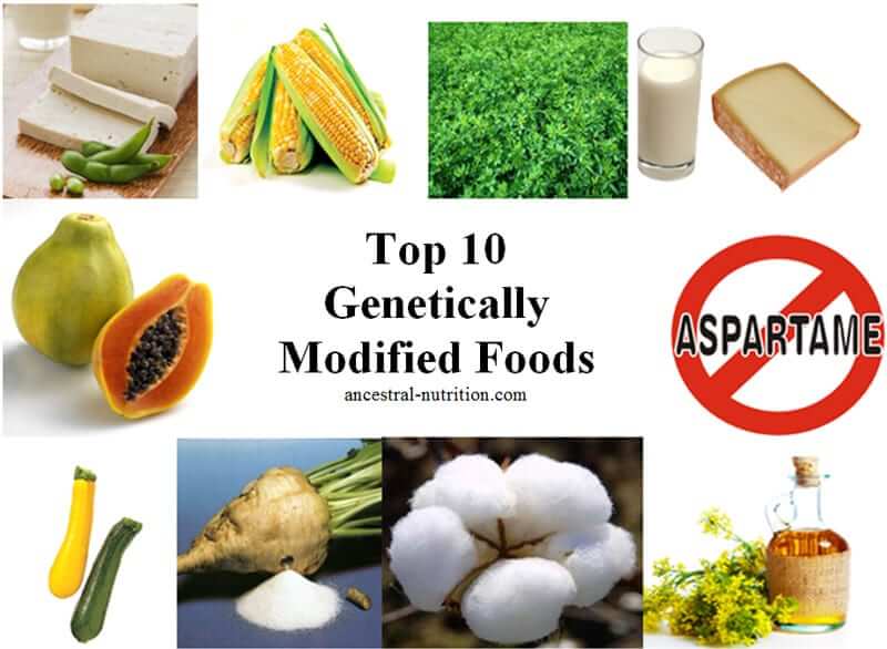 Top 10 Gm Foods Ancestral Nutrition