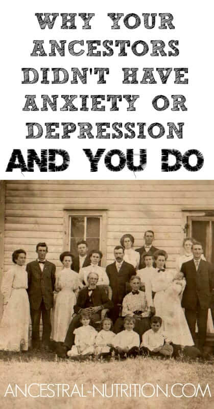 Why do we struggle so much with anxiety and depression when our ancestors didn't?! Find out what foods we should eliminate and which we should include to properly fuel brain function!