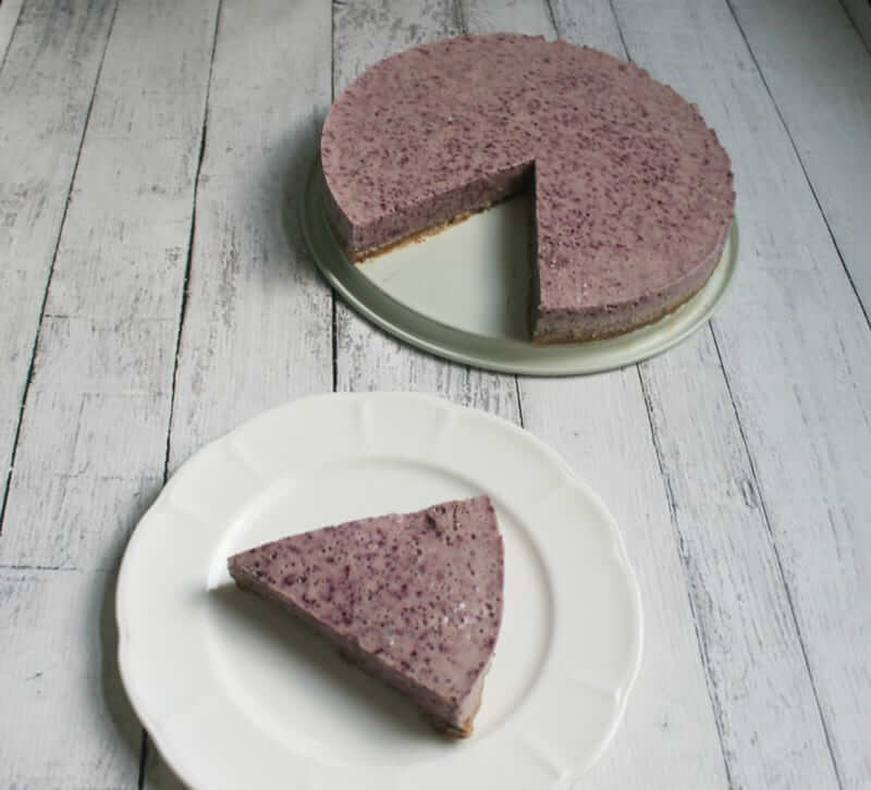 No Bake Paleo Blueberry Cheesecake! Seriously so good and so easy!!