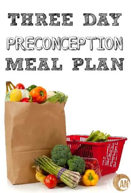 Three-Day-Preconception-Meal-Plan