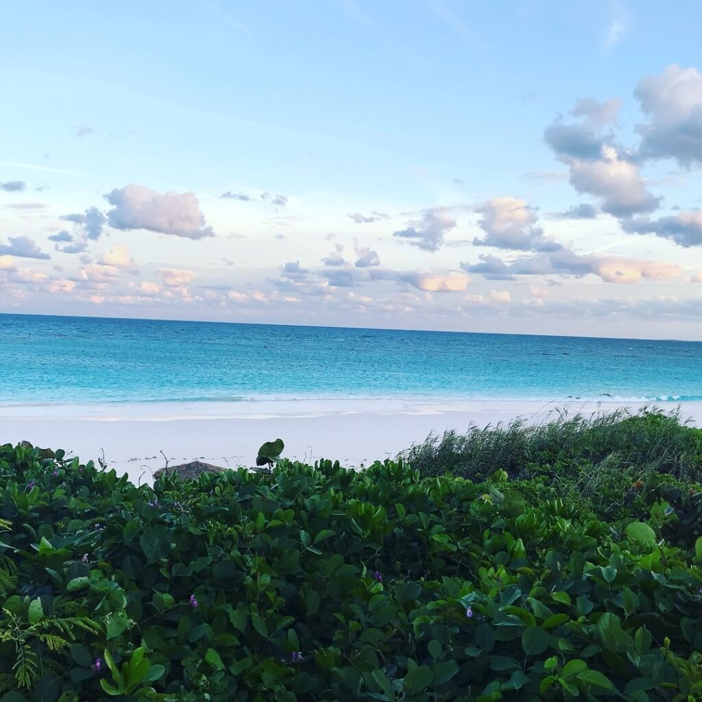 BAHAMAS VACA: Harbour Island - Ancestral Nutrition