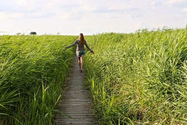 a girl walking on a trail touching the tall grass left and right