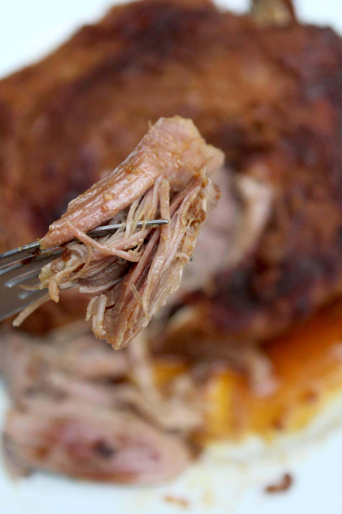 a fork holding a piece of juicy Slow Roasted goat leg