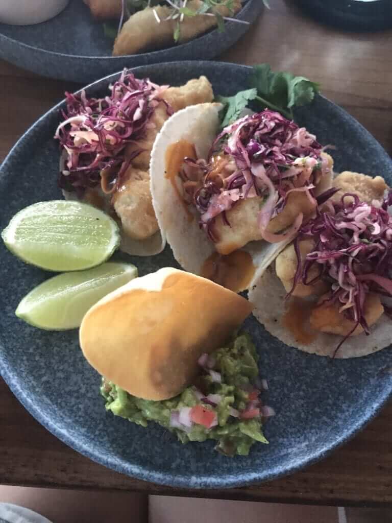 overhead shot of fish tacos served at the Real Coconut in Tulum 